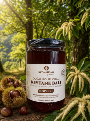 Kovandan Gelsin Doğal Süzme Kestane Balı 850 g