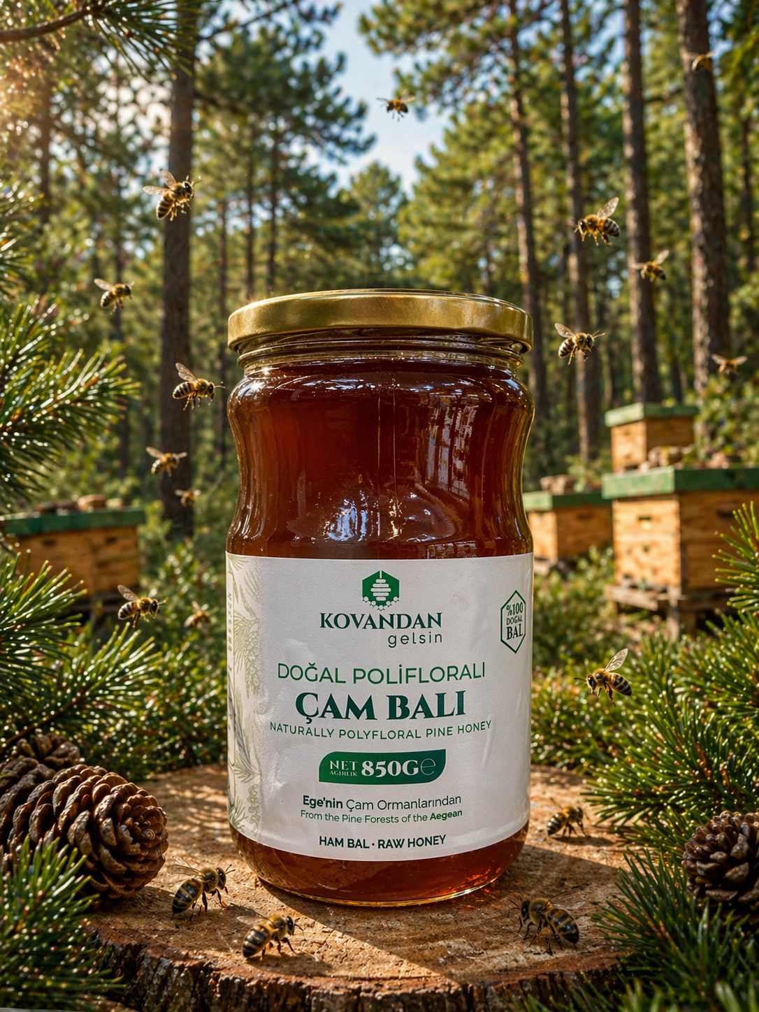 Çam Balı 850 g | %100 Saf ve Katkısız Bal