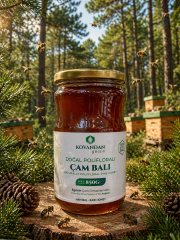 Çam Balı 850 g | %100 Saf ve Katkısız Bal