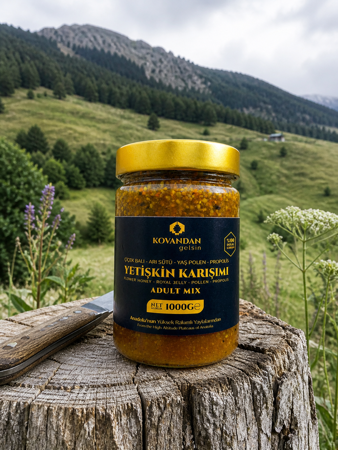 Kovandan Gelsin Arı Sütü Bal Polen Propolis Karışımı