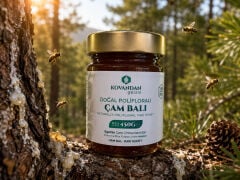 Kovandan Gelsin Doğal Süzme Çam Balı 450 g