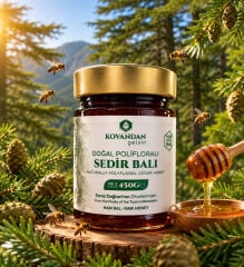 Kovandan Gelsin Doğal Süzme Sedir Balı 450 g