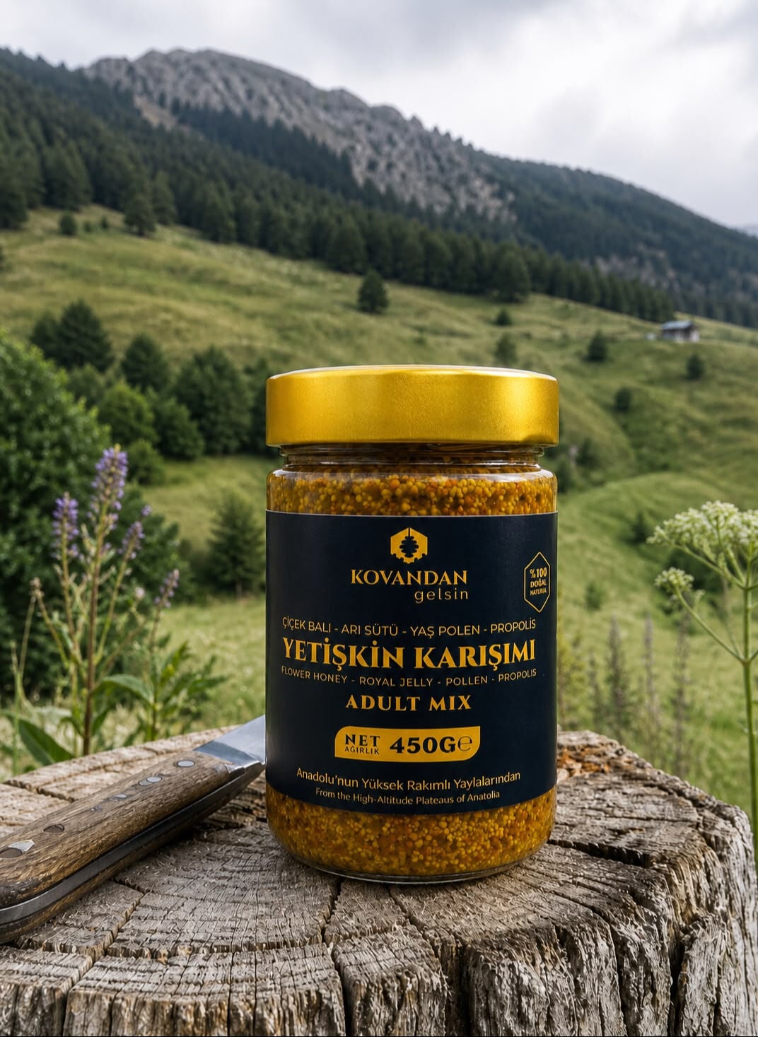 Kovandan Gelsin Yetişkin Karışımı Arı Sütü Bal Polen Propolis 450 g